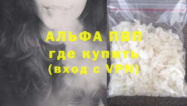 ПСИЛОЦИБИНОВЫЕ ГРИБЫ Няндома